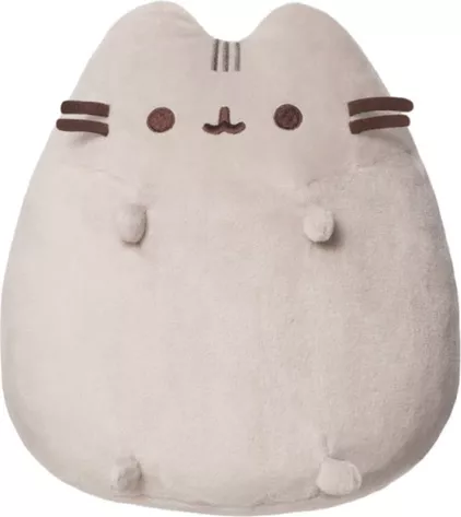 Pusheen knuffel