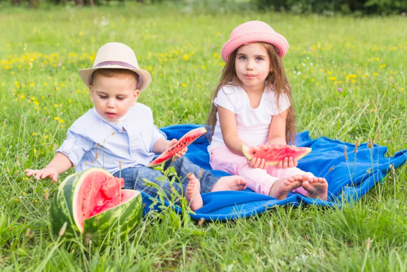 Kinderen eten meloen op een grasweide