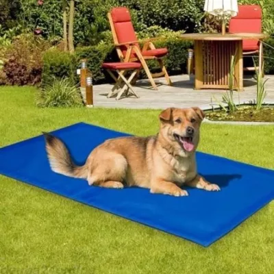 Koeling mat voor hond